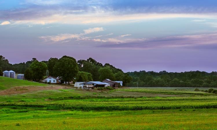 farm in rural north carolina